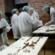 Illustration for article titled A Team of Archeologists May Have Found the Body of Cervantes